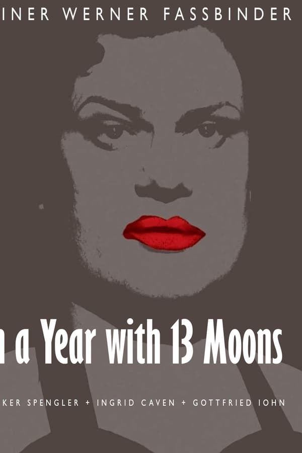 Cover of the movie In a Year with 13 Moons
