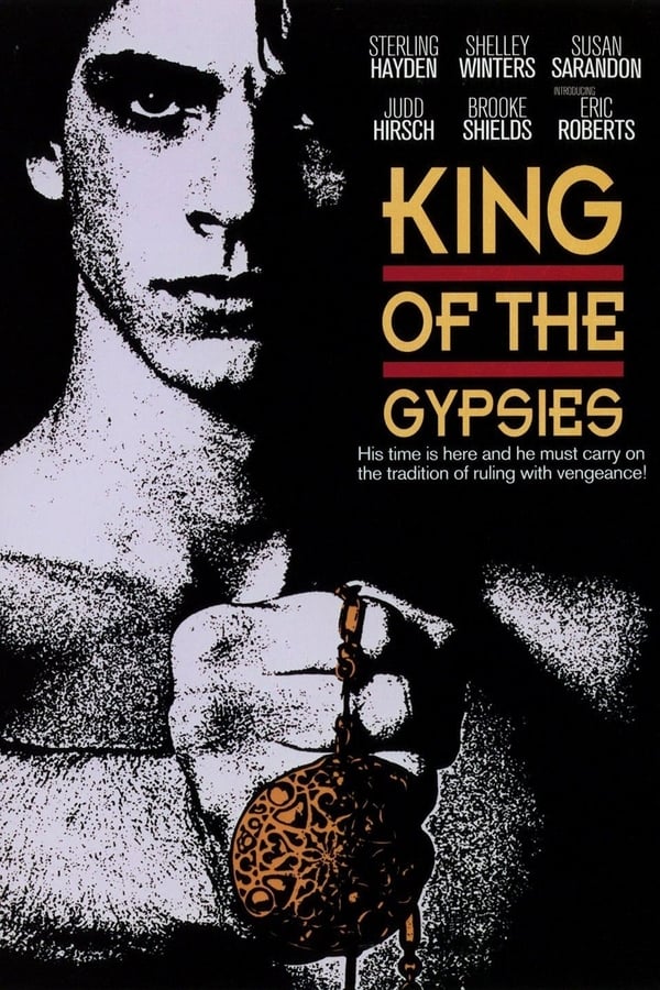 Cover of the movie King of the Gypsies