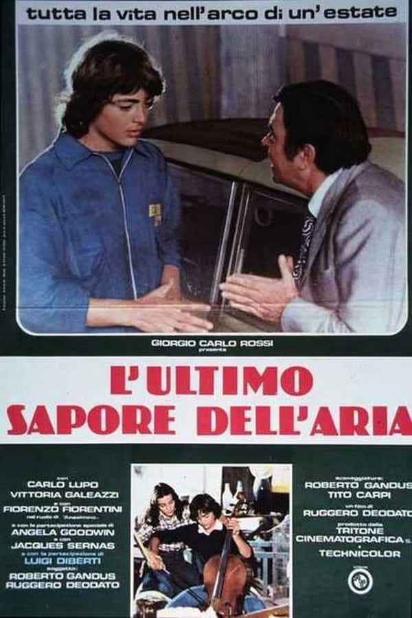 Cover of the movie Last Feelings