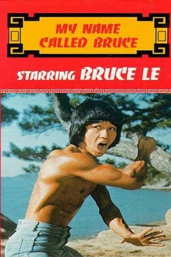 Cover of the movie My Name Called Bruce
