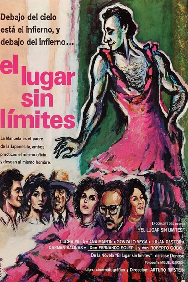 Cover of the movie Place without Limits