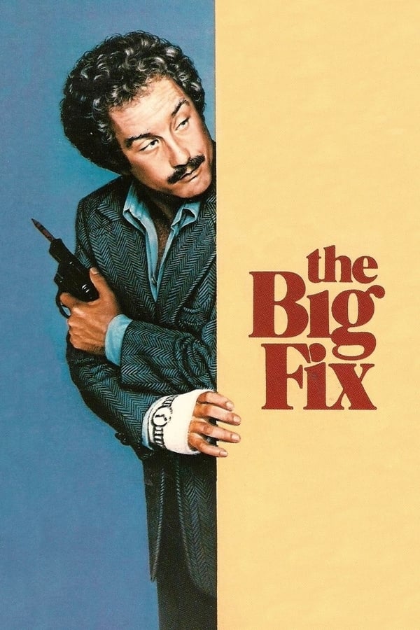 Cover of the movie The Big Fix