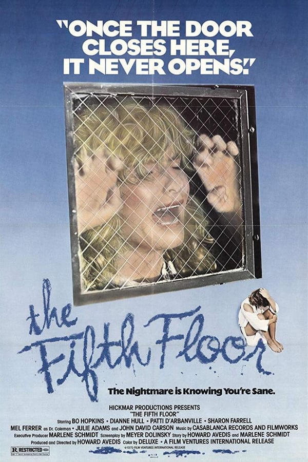 Cover of the movie The Fifth Floor
