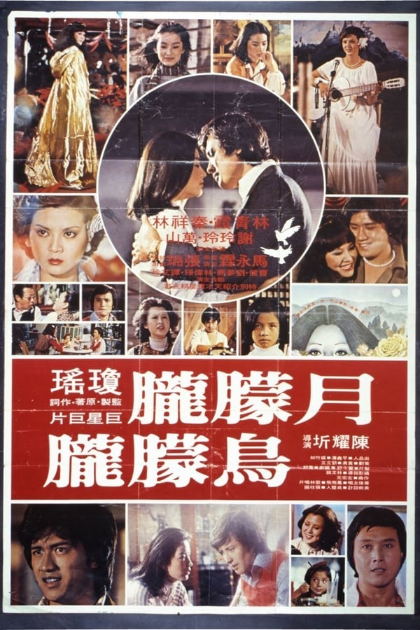 Cover of the movie The Misty Moon
