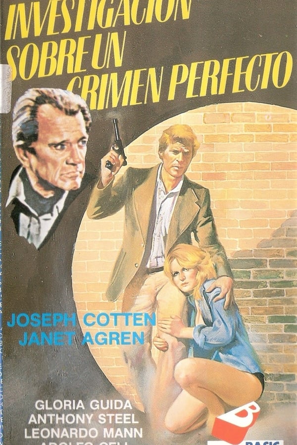 Cover of the movie The Perfect Crime
