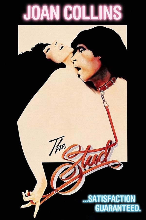 Cover of the movie The Stud