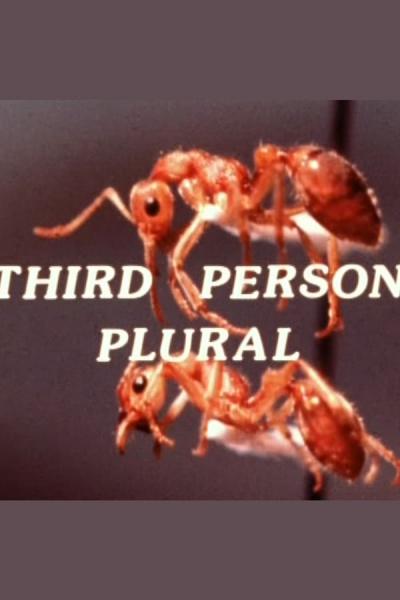 Cover of the movie Third Person Plural