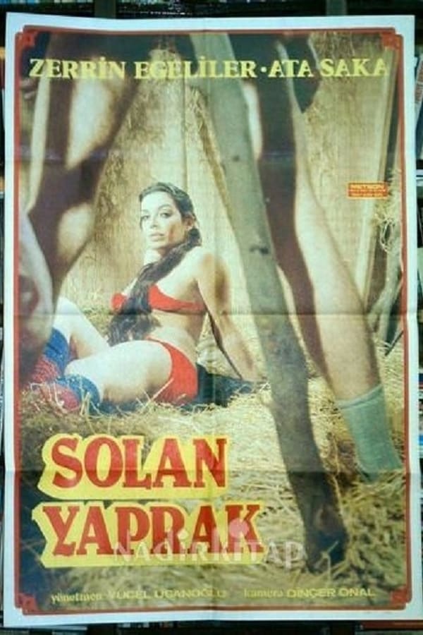 Cover of the movie Aga düsen kadin