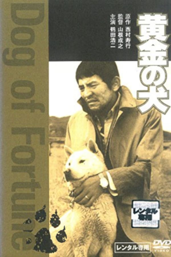 Cover of the movie Dog of Fortune