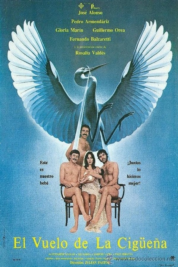 Cover of the movie El vuelo de la cigüeña