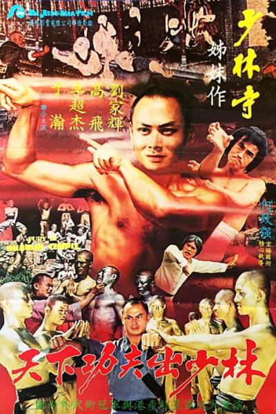 Cover of the movie Fury in the Shaolin Temple