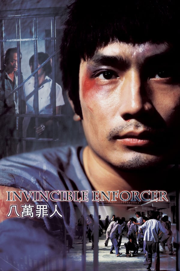 Cover of the movie Invincible Enforcer
