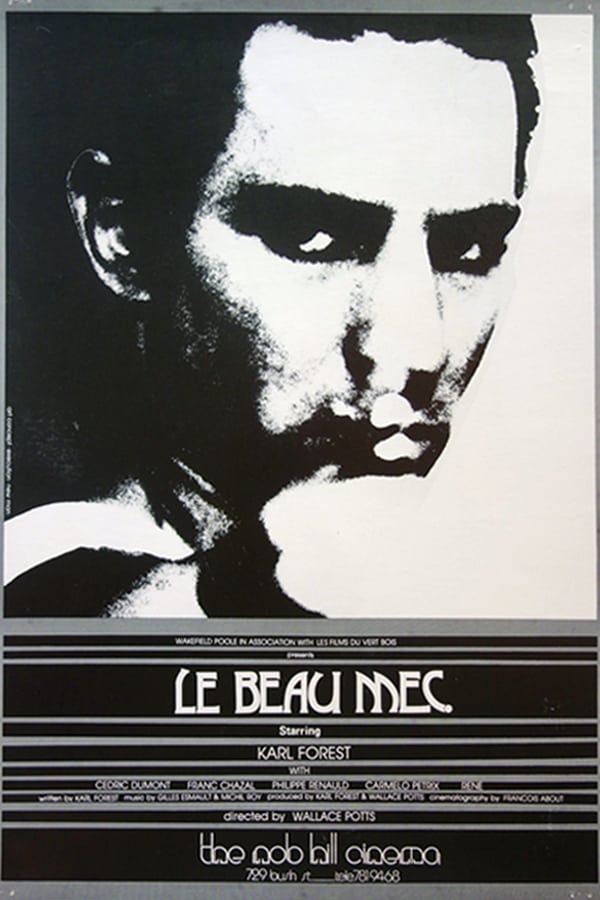 Cover of the movie Le beau mec