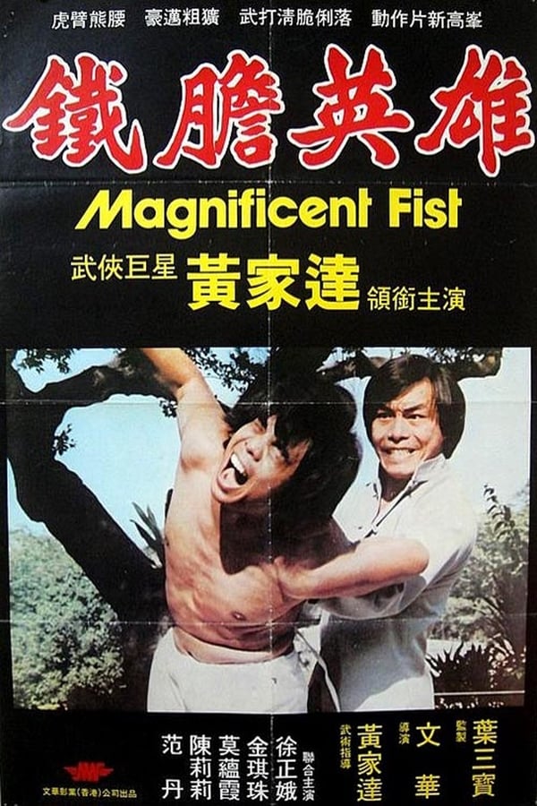 Cover of the movie Magnificent Fist