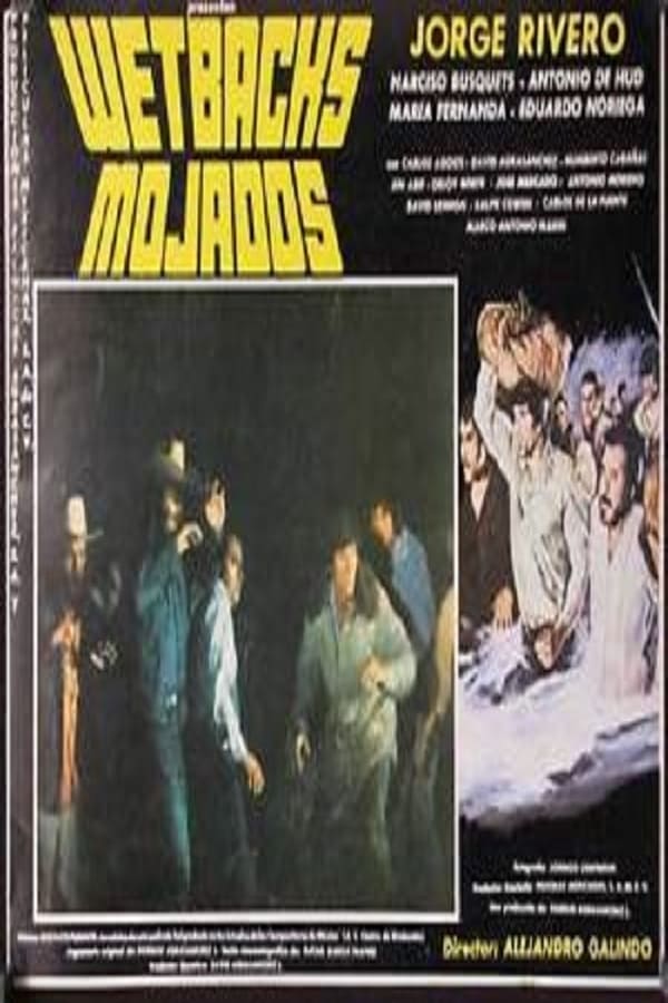 Cover of the movie Mojados