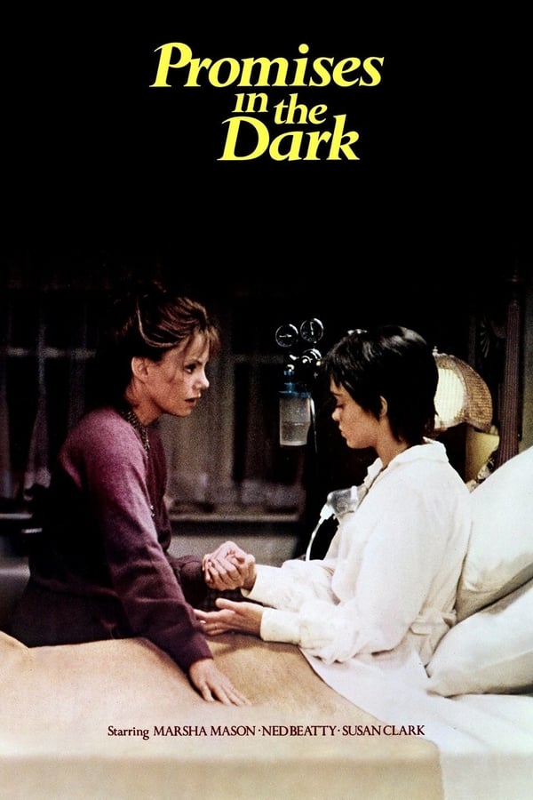 Cover of the movie Promises in the Dark