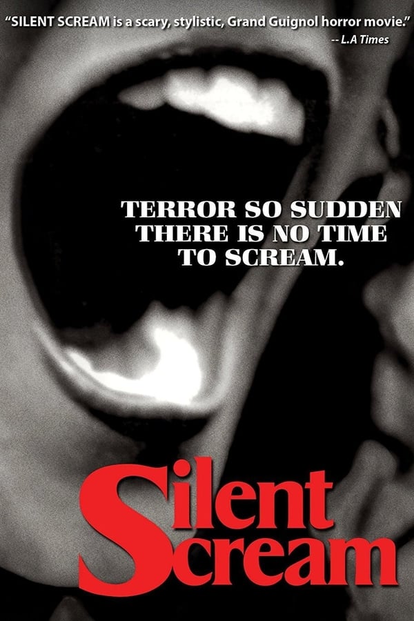 Cover of the movie Silent Scream