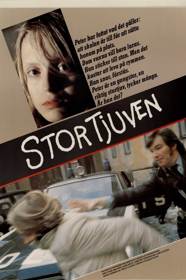 Cover of the movie Stortjuven