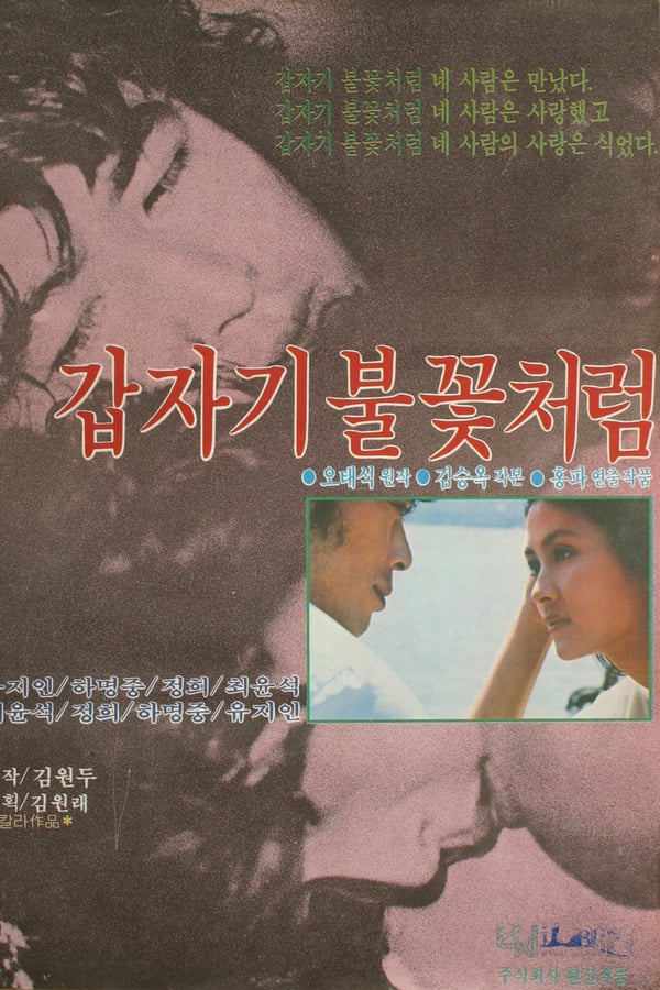 Cover of the movie Sudden Flame