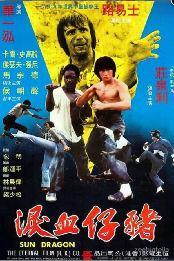 Cover of the movie Sun Dragon