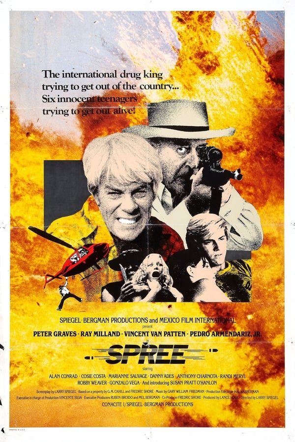Cover of the movie Survival Run