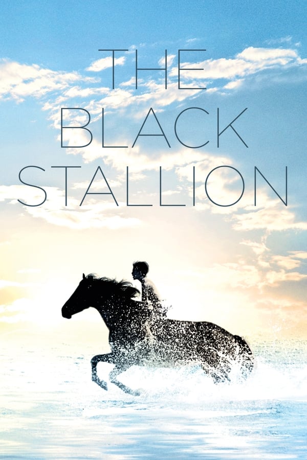 Cover of the movie The Black Stallion