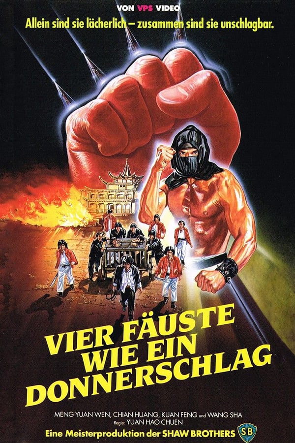 Cover of the movie The Fighting Fool
