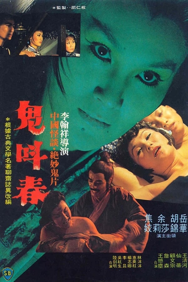 Cover of the movie The Ghost Story