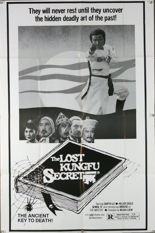 Cover of the movie The Lost Kung Fu Secrets