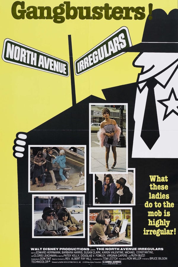 Cover of the movie The North Avenue Irregulars