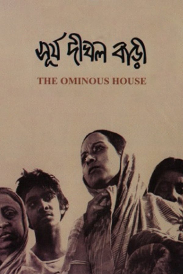 Cover of the movie The Ominous House