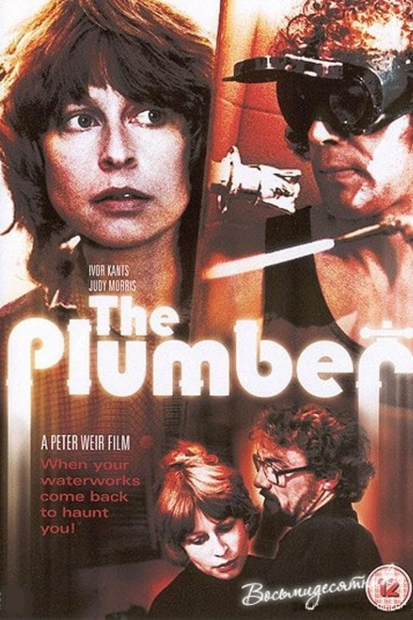 Cover of the movie The Plumber