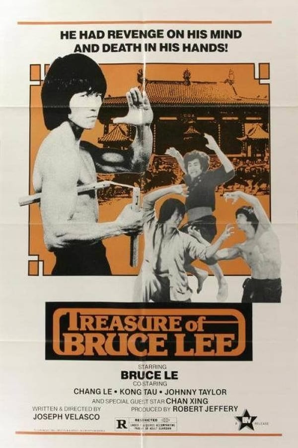 Cover of the movie Treasure of Bruce Le