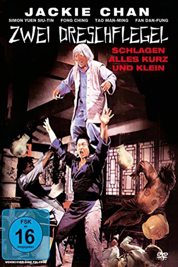 Cover of the movie Against Rascals with Kung-Fu