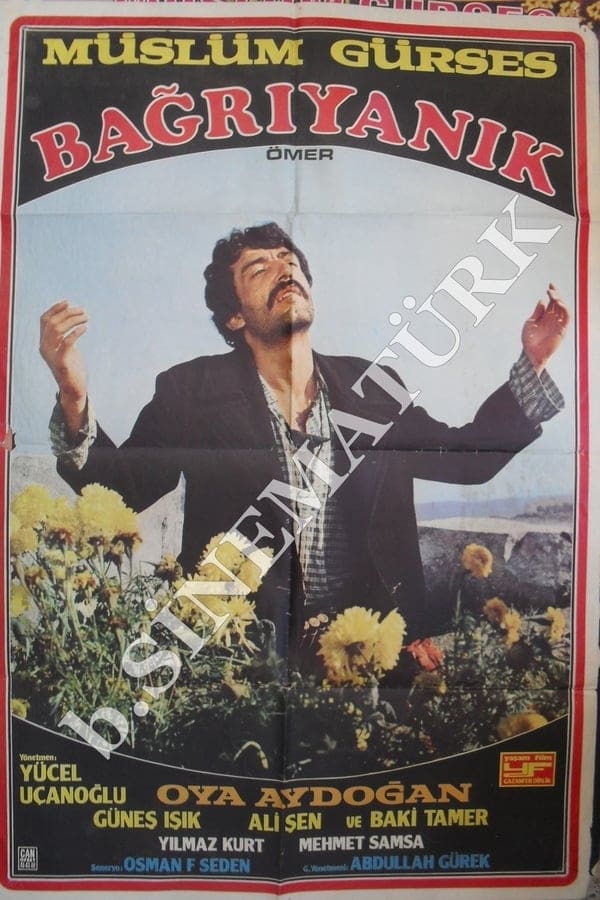 Cover of the movie Bağrıyanık