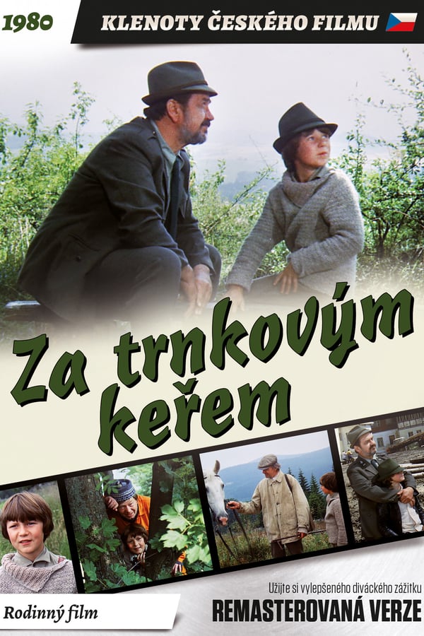 Cover of the movie Behind the Sloe-Bush