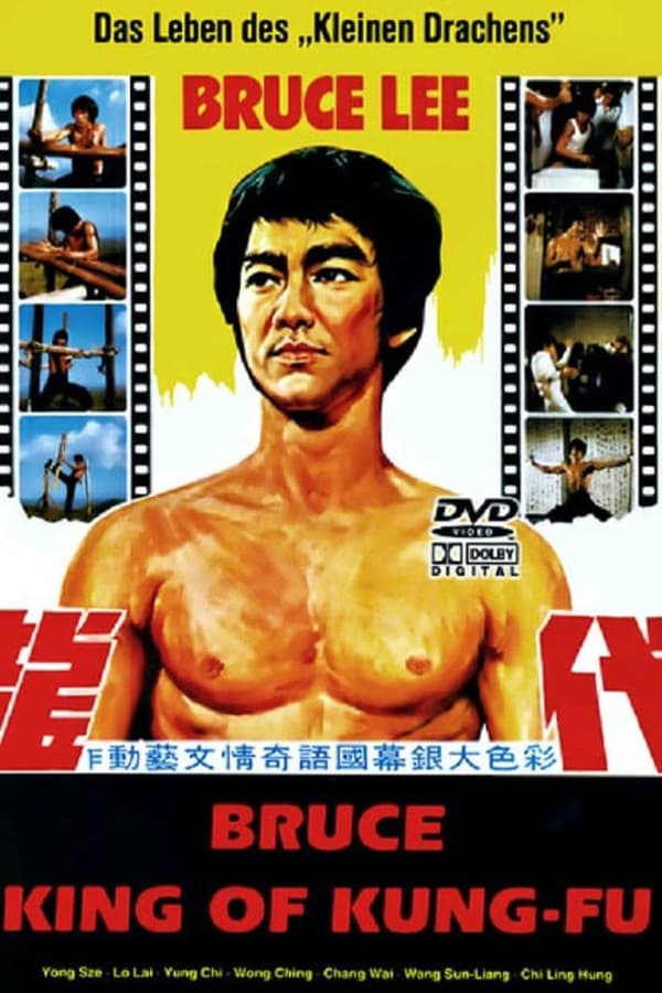 Cover of the movie Bruce, King of Kung Fu