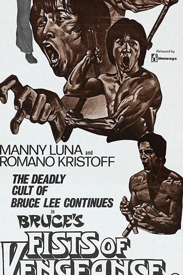 Cover of the movie Bruce's Fists Of Vengeance