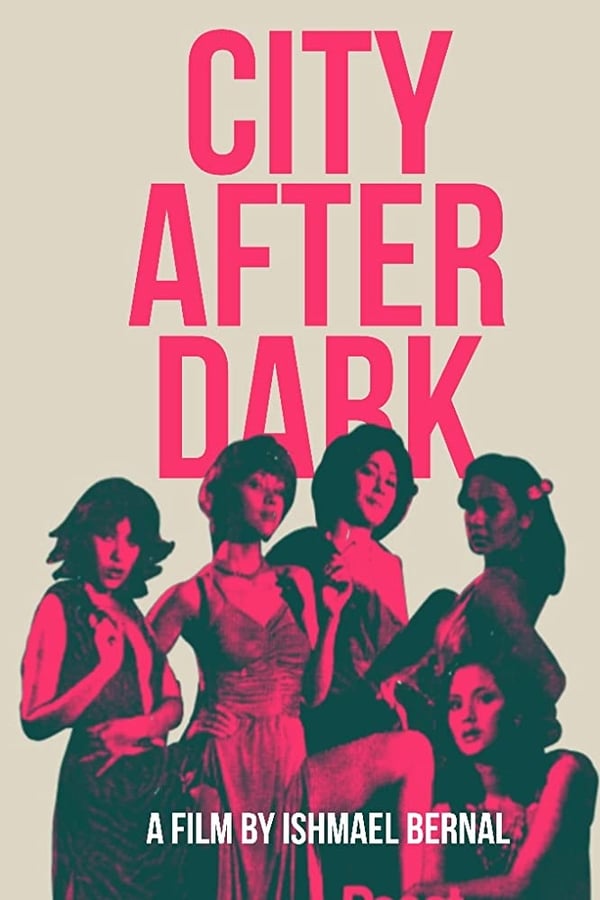 Cover of the movie City After Dark