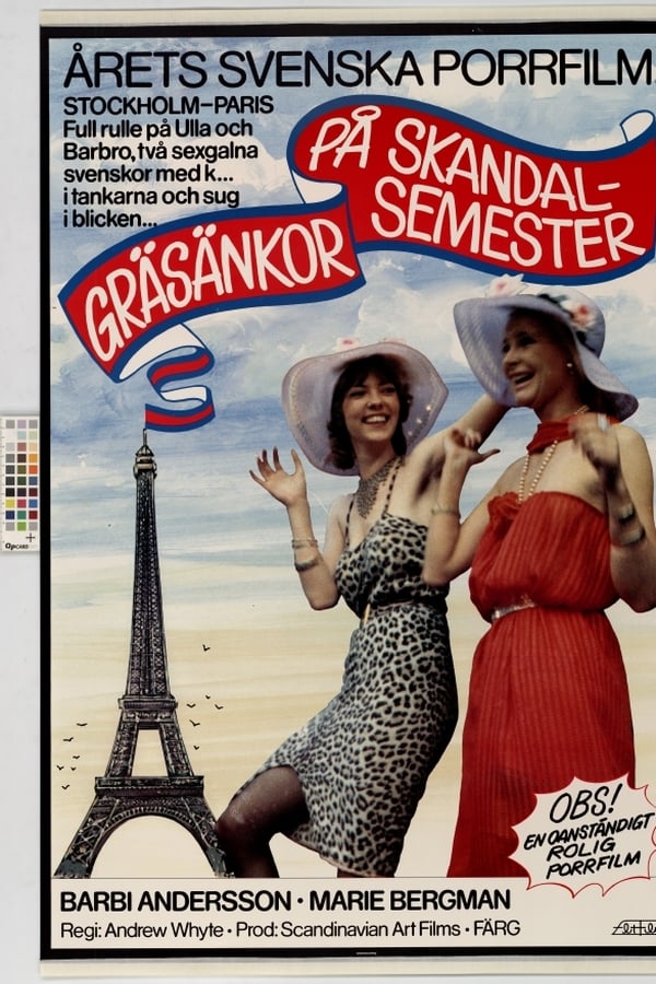 Cover of the movie Crazy Swedish Holidays in Paris