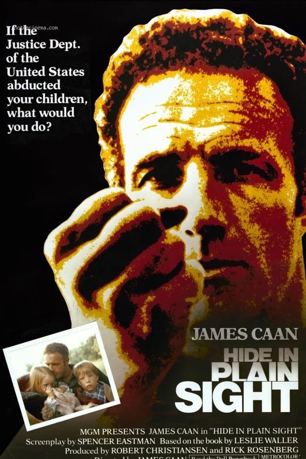 Cover of the movie Hide in Plain Sight