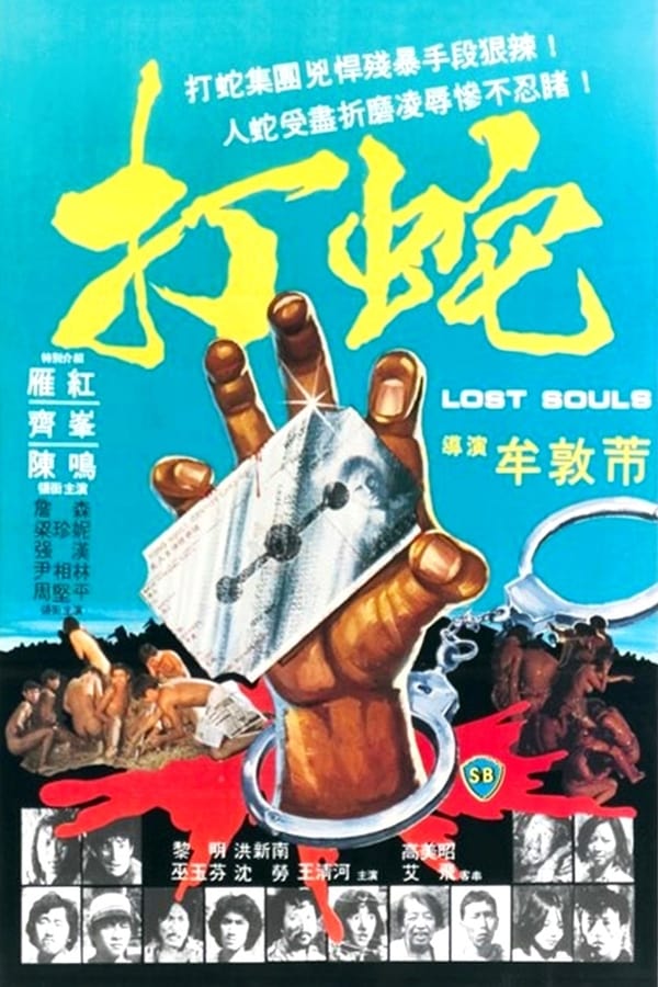 Cover of the movie Lost Souls