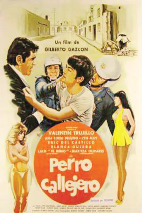 Cover of the movie Perro callejero