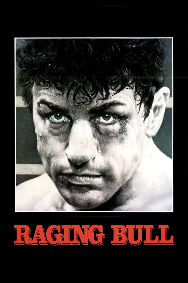 Cover of the movie Raging Bull
