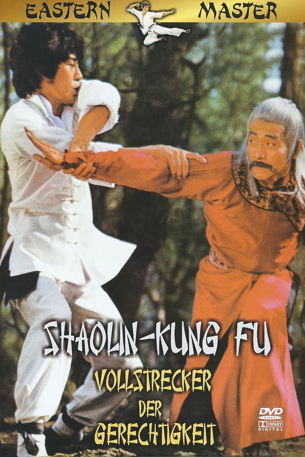 Cover of the movie Shaolin Kung Fu Master