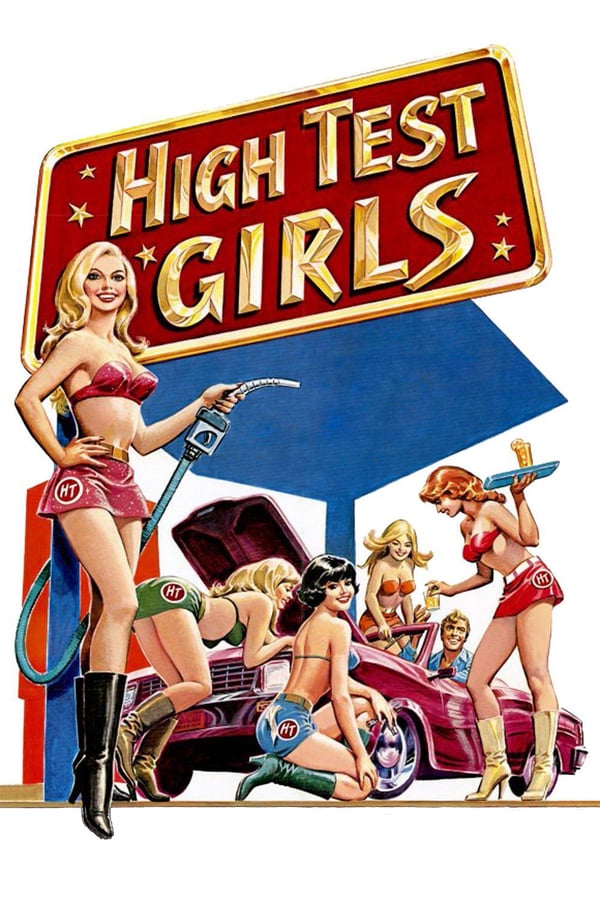 Cover of the movie Six Swedish Girls at a Pump