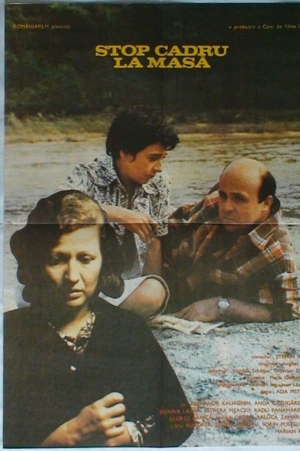 Cover of the movie Snapshot Around the Family Table