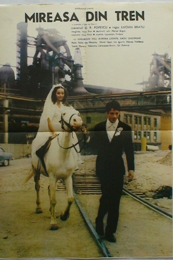 Cover of the movie The Bride from the Train