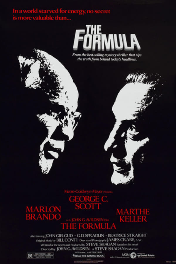 Cover of the movie The Formula