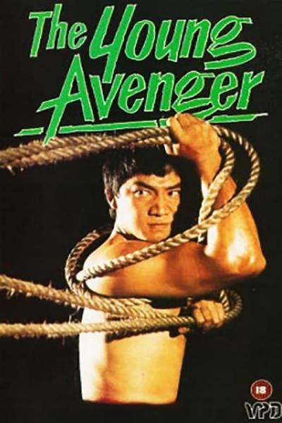 Cover of the movie The Young Avenger